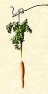 Carrot On a Stick